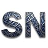 Steel Network